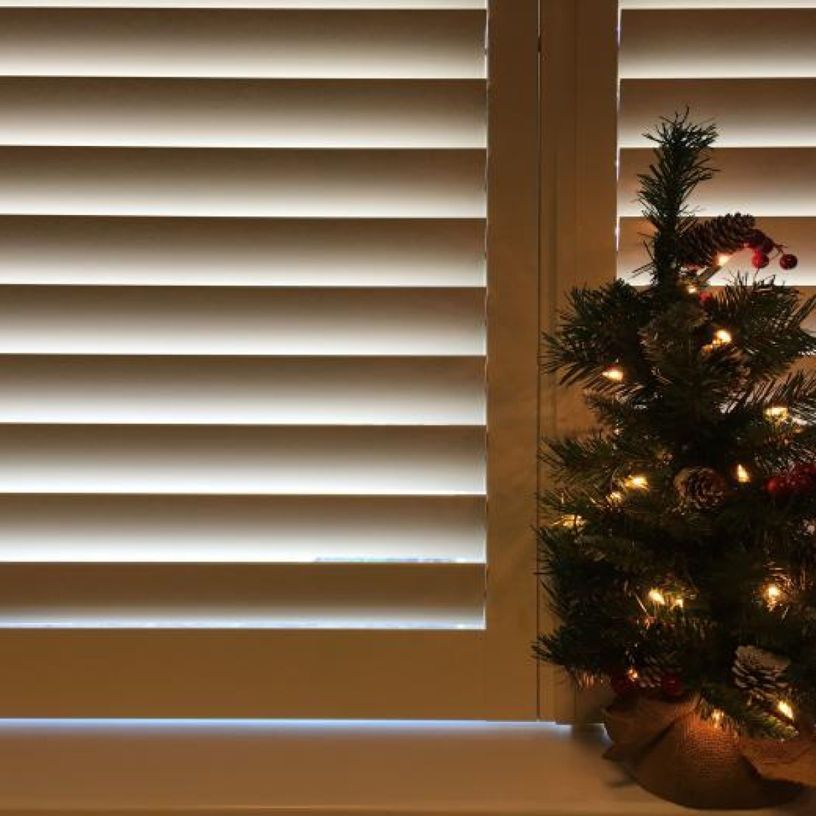 mini kerstboom met shutters